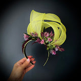 Dried flower fascinators
